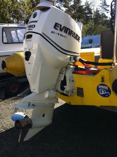Racerbåtsförbundets Rescue Team 1 kör Evinrude E-Tec..